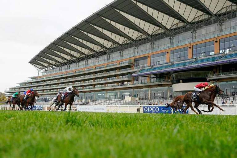 Weekly Horse Racing Blog: Extra Royal Ascot Races / Warwick Weekend Round Up