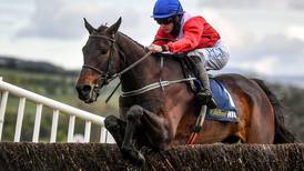 Cheltenham Ones To Watch: Allaho bids to follow up
